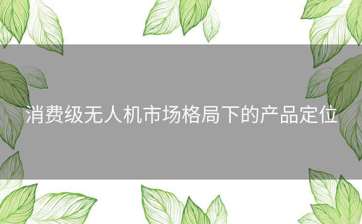 消费级无人机市场格局下的产品定位 消费级无人机市场格局下的产品定位