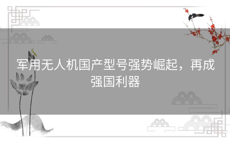 军用无人机国产型号强势崛起,再成强国利器 军用无人机国产型号强势崛起,再成强国利器