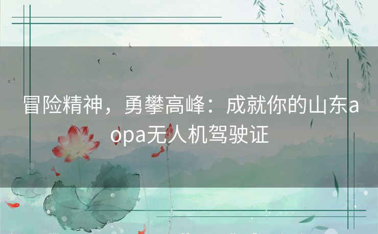 冒险精神,勇攀高峰:成就你的山东aopa无人机驾驶证 冒险精神,勇攀高峰:成就你的山东aopa无人机驾驶证