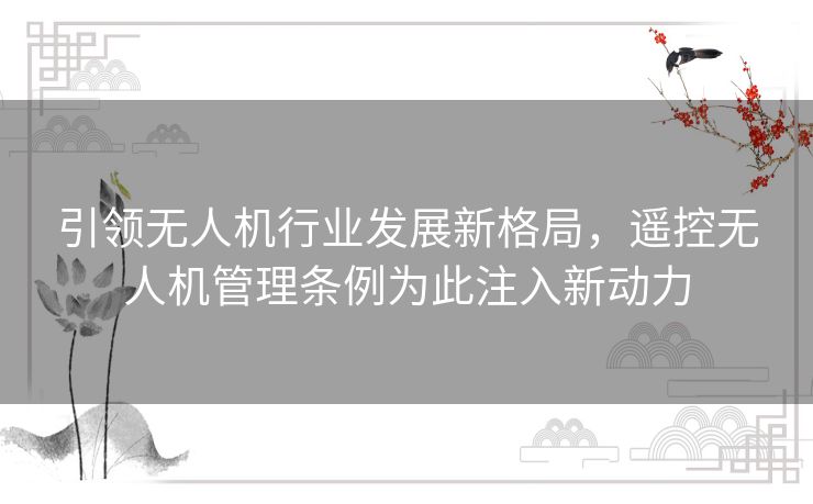引领无人机行业发展新格局,遥控无人机管理条例为此注入新动力 引领无人机行业发展新格局,遥控无人机管理条例为此注入新动力