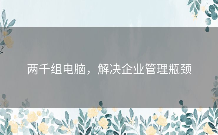 两千组电脑,解决企业管理瓶颈 两千组电脑,解决企业管理瓶颈