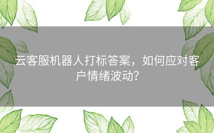云客服机器人打标答案,如何应对客户情绪波动? 云客服机器人打标答案,如何应对客户情绪波动?