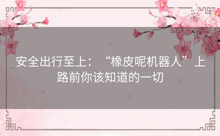 安全出行至上:“橡皮呢机器人”上路前你该知道的一切 安全出行至上:“橡皮呢机器人”上路前你该知道的一切