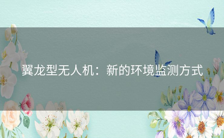 翼龙型无人机:新的环境监测方式 翼龙型无人机:新的环境监测方式