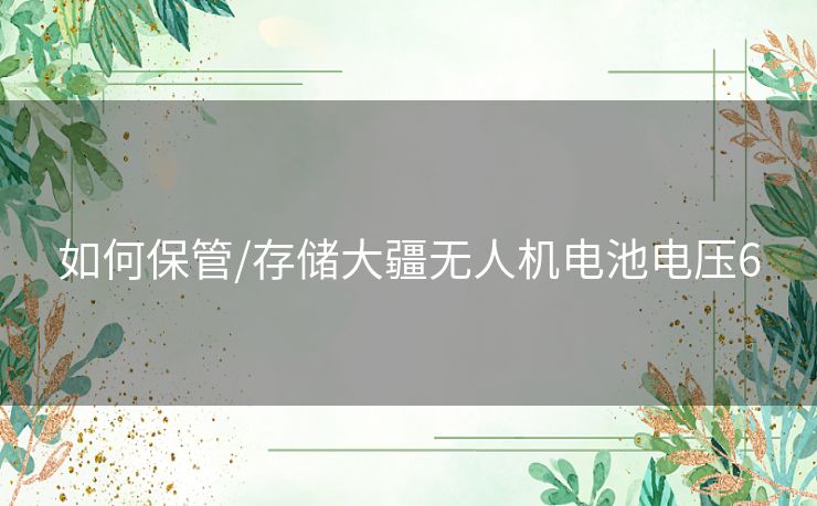 如何保管/存储大疆无人机电池电压6 如何保管/存储大疆无人机电池电压6