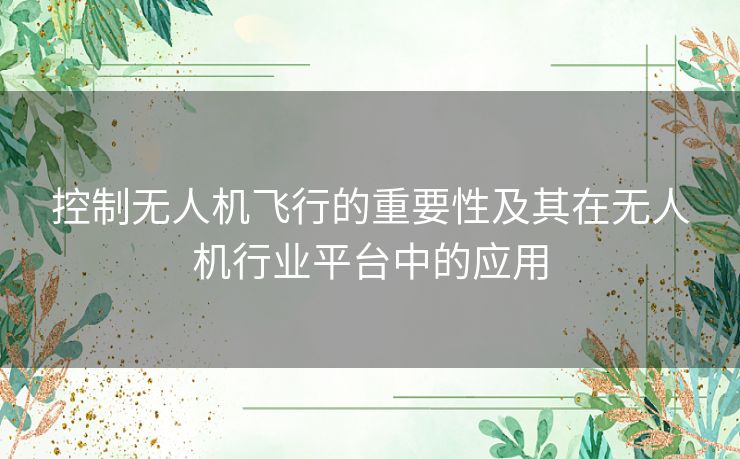 控制无人机飞行的重要性及其在无人机行业平台中的应用 控制无人机飞行的重要性及其在无人机行业平台中的应用
