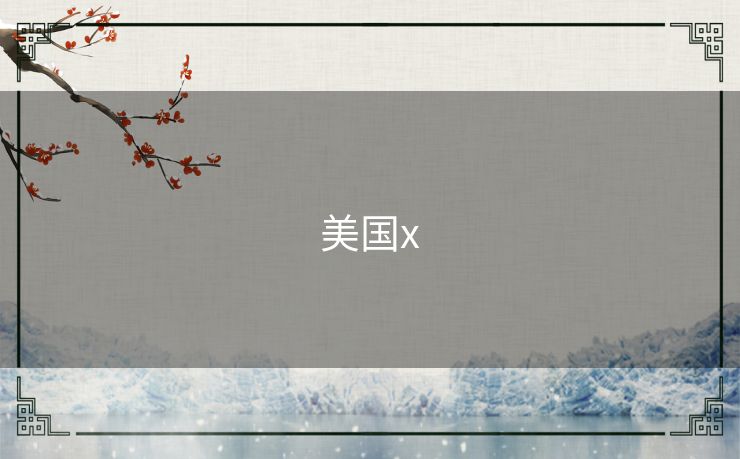 美国x 美国x