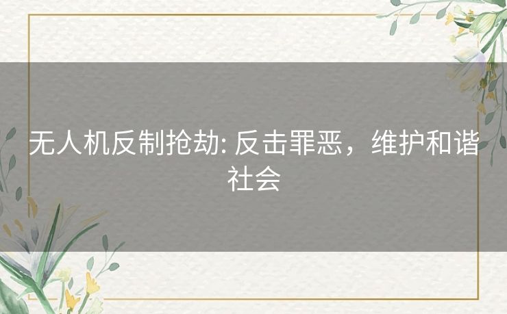 无人机反制抢劫: 反击罪恶,维护和谐社会 无人机反制抢劫: 反击罪恶,维护和谐社会