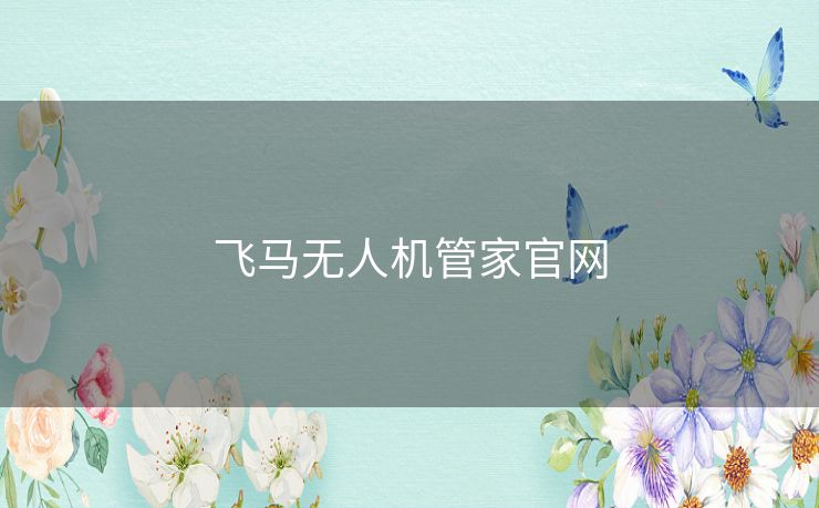 飞马无人机管家官网 飞马无人机管家官网