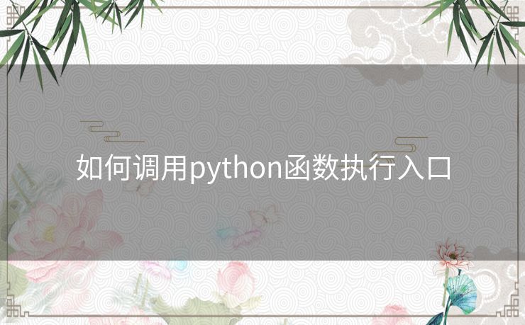 如何调用python函数执行入口 如何调用python函数执行入口