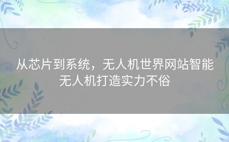 从芯片到系统,无人机世界网站智能无人机打造实力不俗 从芯片到系统,无人机世界网站智能无人机打造实力不俗