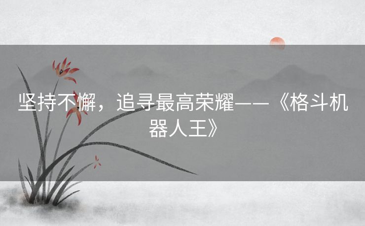 坚持不懈,追寻最高荣耀——《格斗机器人王》 坚持不懈,追寻最高荣耀——《格斗机器人王》