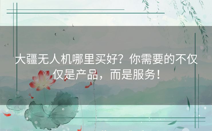 大疆无人机哪里买好?你需要的不仅仅是产品,而是服务! 大疆无人机哪里买好?你需要的不仅仅是产品,而是服务!