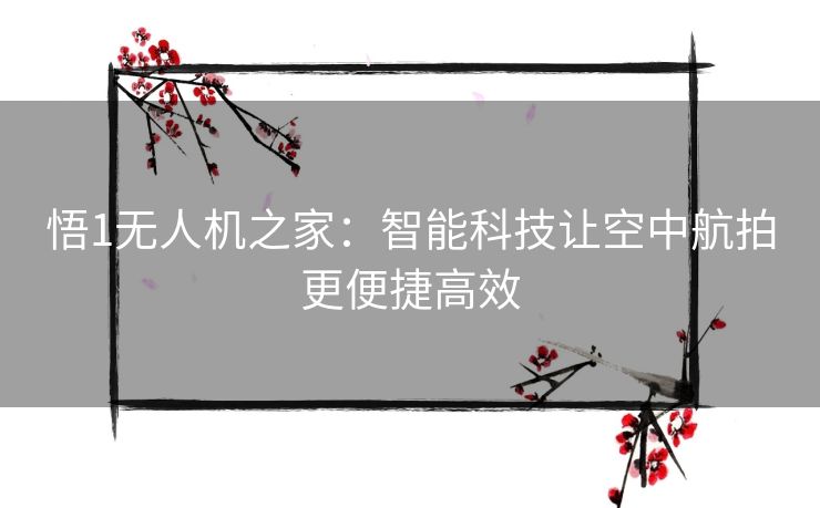 悟1无人机之家:智能科技让空中航拍更便捷高效 悟1无人机之家:智能科技让空中航拍更便捷高效