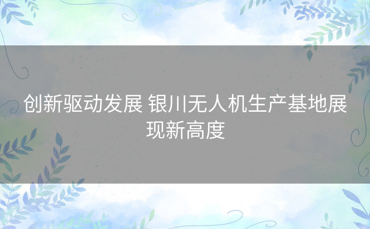 创新驱动发展 银川无人机生产基地展现新高度 创新驱动发展 银川无人机生产基地展现新高度