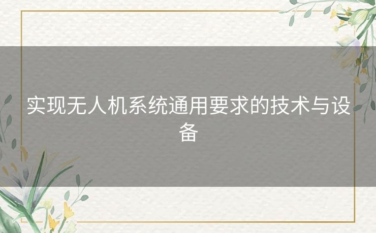 实现无人机系统通用要求的技术与设备