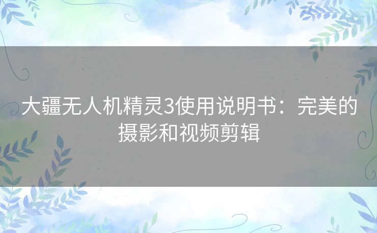 大疆无人机精灵3使用说明书:完美的摄影和视频剪辑 大疆无人机精灵3使用说明书:完美的摄影和视频剪辑