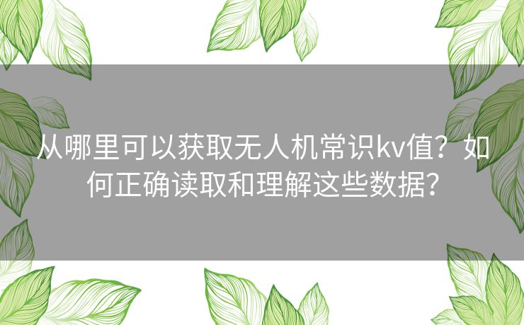 从哪里可以获取无人机常识kv值?如何正确读取和理解这些数据? 从哪里可以获取无人机常识kv值?如何正确读取和理解这些数据?