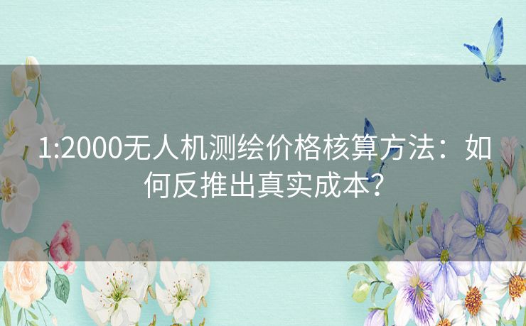 1:2000无人机测绘价格核算方法:如何反推出真实成本? 1:2000无人机测绘价格核算方法:如何反推出真实成本?