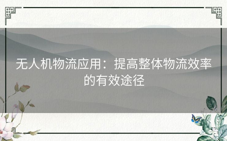 无人机物流应用:提高整体物流效率的有效途径 无人机物流应用:提高整体物流效率的有效途径
