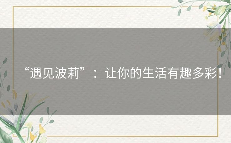 “遇见波莉”:让你的生活有趣多彩! “遇见波莉”:让你的生活有趣多彩!