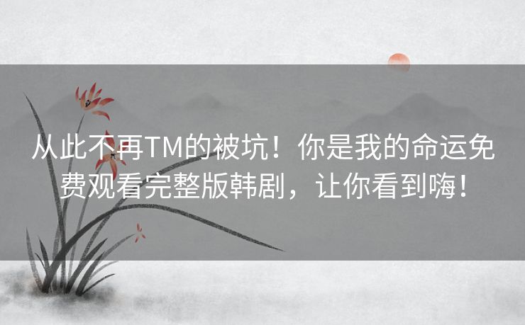 从此不再TM的被坑！你是我的命运免费观看完整版韩剧，让你看到嗨！