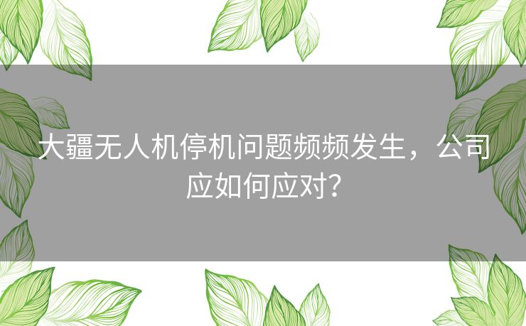 大疆无人机停机问题频频发生,公司应如何应对? 大疆无人机停机问题频频发生,公司应如何应对?