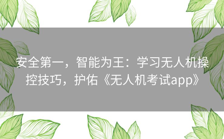 安全第一,智能为王:学习无人机操控技巧,护佑《无人机考试app》 安全第一,智能为王:学习无人机操控技巧,护佑《无人机考试app》