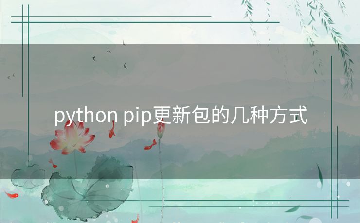 python pip更新包的几种方式 python pip更新包的几种方式
