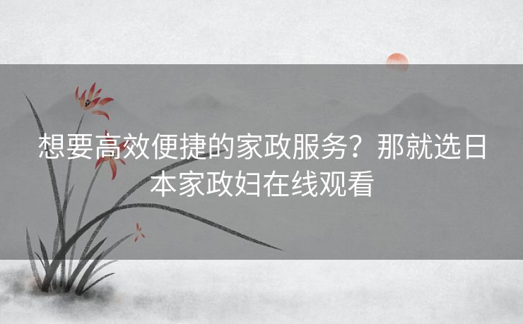 想要高效便捷的家政服务？那就选日本家政妇在线观看