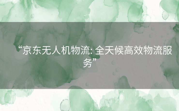 “京东无人机物流: 全天候高效物流服务” “京东无人机物流: 全天候高效物流服务”