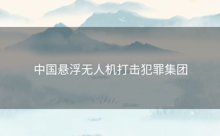 中国悬浮无人机打击犯罪集团 中国悬浮无人机打击犯罪集团