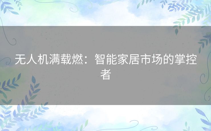 无人机满载燃:智能家居市场的掌控者 无人机满载燃:智能家居市场的掌控者