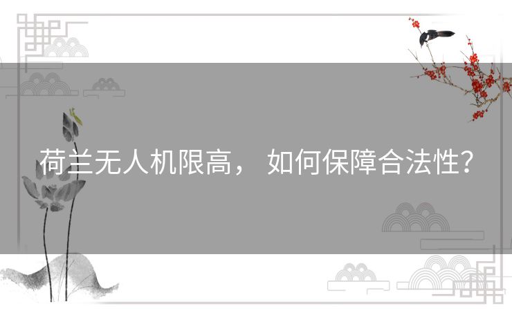 荷兰无人机限高, 如何保障合法性? 荷兰无人机限高, 如何保障合法性?