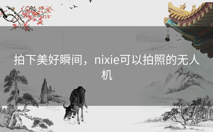 拍下美好瞬间,nixie可以拍照的无人机 拍下美好瞬间,nixie可以拍照的无人机
