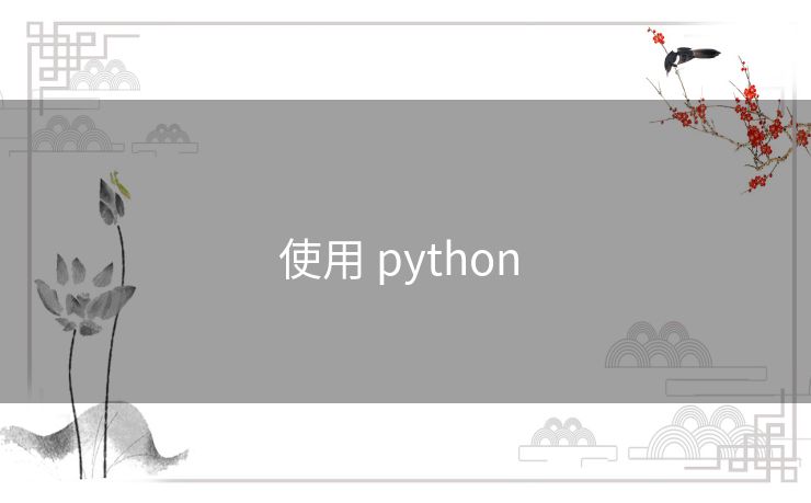使用 python 使用 python