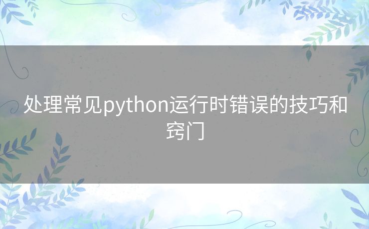 处理常见python运行时错误的技巧和窍门 处理常见python运行时错误的技巧和窍门