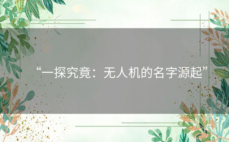 “一探究竟:无人机的名字源起” “一探究竟:无人机的名字源起”