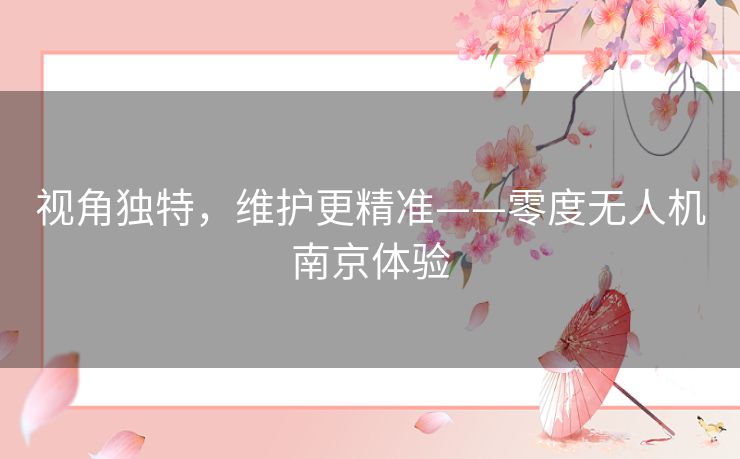 视角独特,维护更精准——零度无人机南京体验 视角独特,维护更精准——零度无人机南京体验