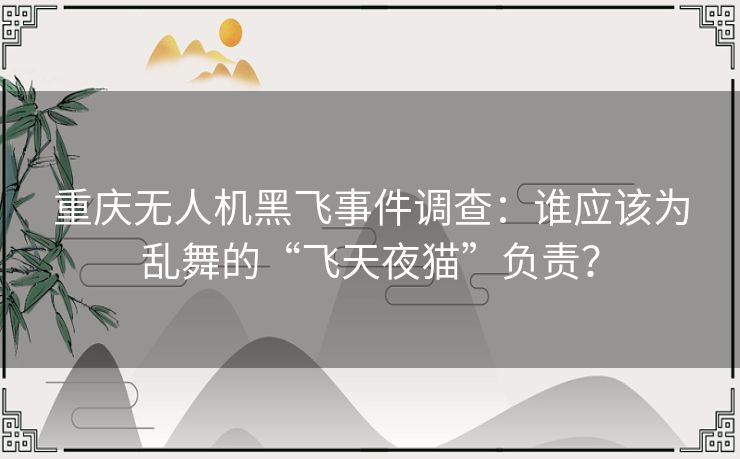 重庆无人机黑飞事件调查:谁应该为乱舞的“飞天夜猫”负责? 重庆无人机黑飞事件调查:谁应该为乱舞的“飞天夜猫”负责?