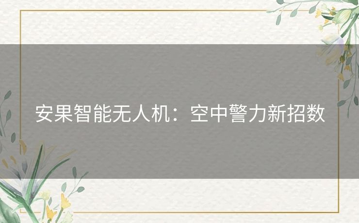 安果智能无人机:空中警力新招数 安果智能无人机:空中警力新招数