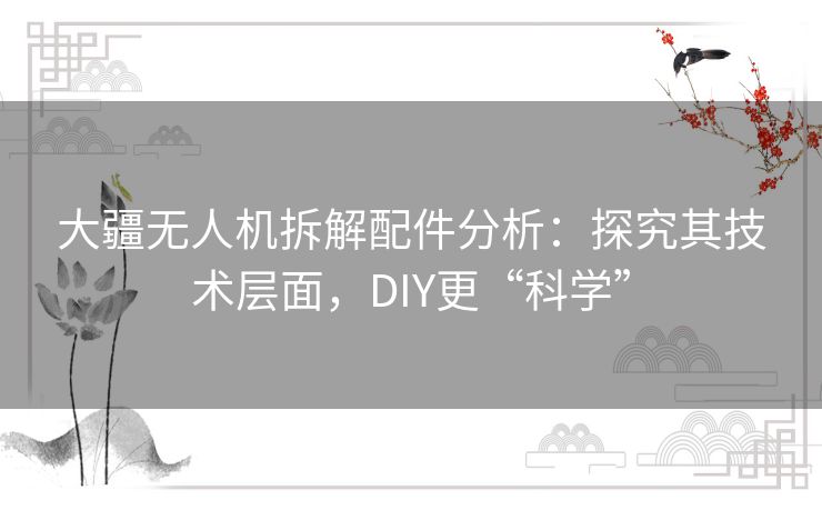 大疆无人机拆解配件分析:探究其技术层面,DIY更“科学” 大疆无人机拆解配件分析:探究其技术层面,DIY更“科学”