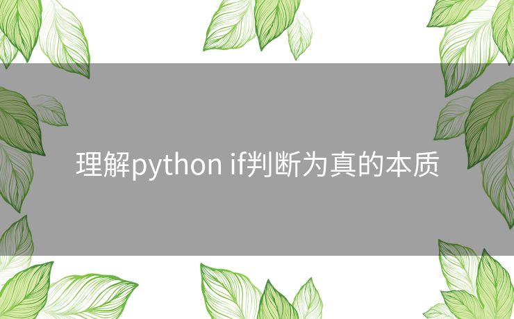 理解python if判断为真的本质 理解python if判断为真的本质
