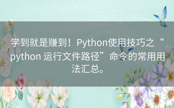 学到就是赚到!Python使用技巧之“python 运行文件路径”命令的常用用法汇总。 学到就是赚到!Python使用技巧之“python 运行文件路径”命令的常用用法汇总。