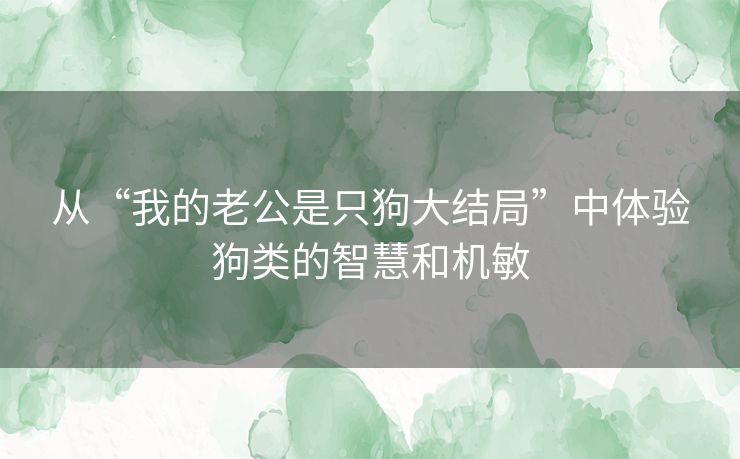 从“我的老公是只狗大结局”中体验狗类的智慧和机敏 从“我的老公是只狗大结局”中体验狗类的智慧和机敏