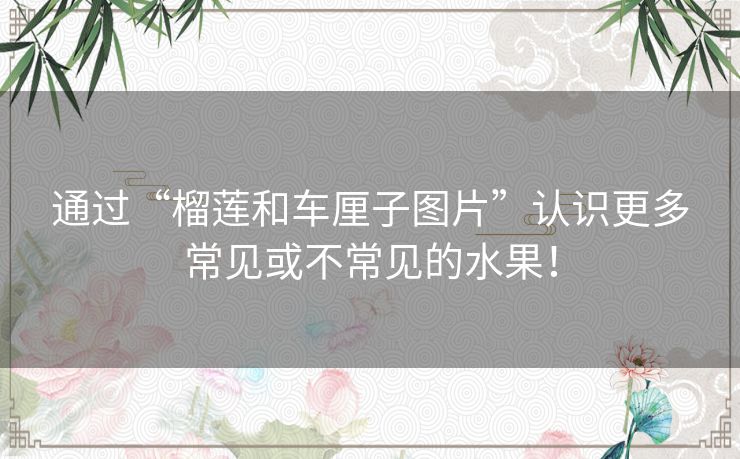 通过“榴莲和车厘子图片”认识更多常见或不常见的水果！