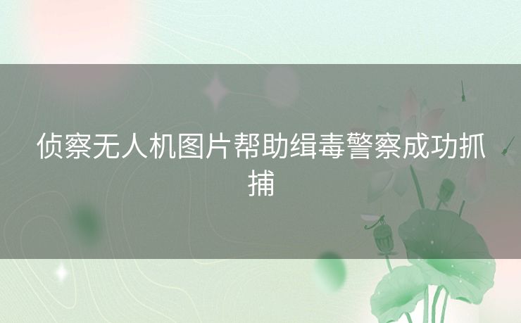 侦察无人机图片帮助缉毒警察成功抓捕 侦察无人机图片帮助缉毒警察成功抓捕