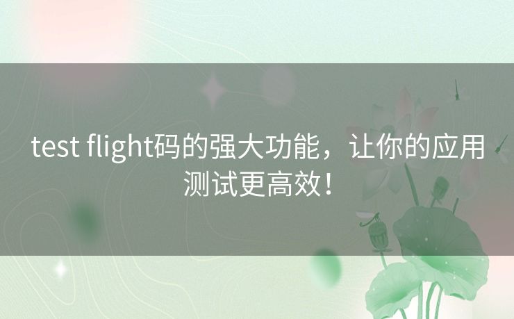 test flight码的强大功能,让你的应用测试更高效! test flight码的强大功能,让你的应用测试更高效!
