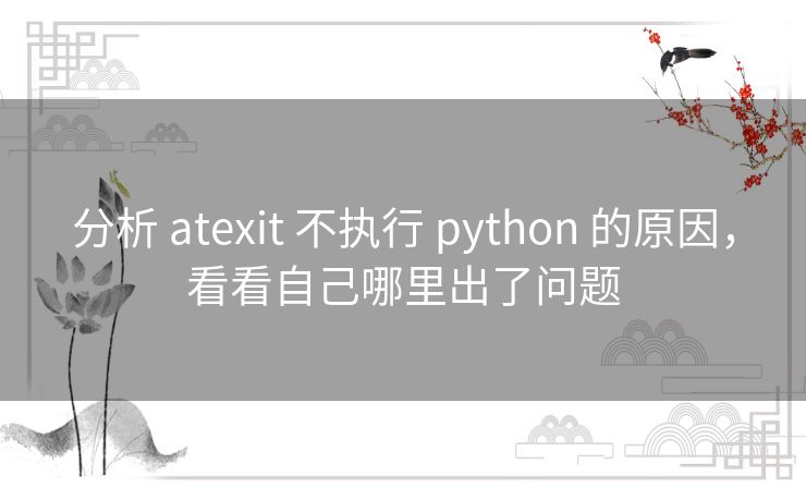 分析 atexit 不执行 python 的原因,看看自己哪里出了问题 分析 atexit 不执行 python 的原因,看看自己哪里出了问题