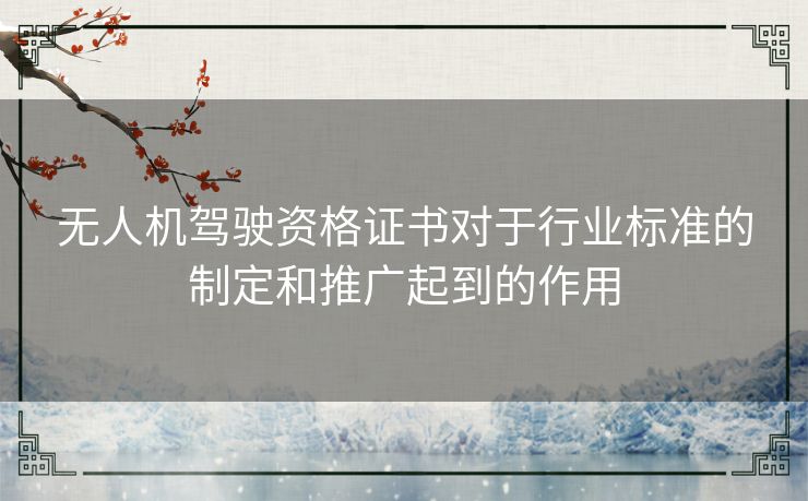 无人机驾驶资格证书对于行业标准的制定和推广起到的作用